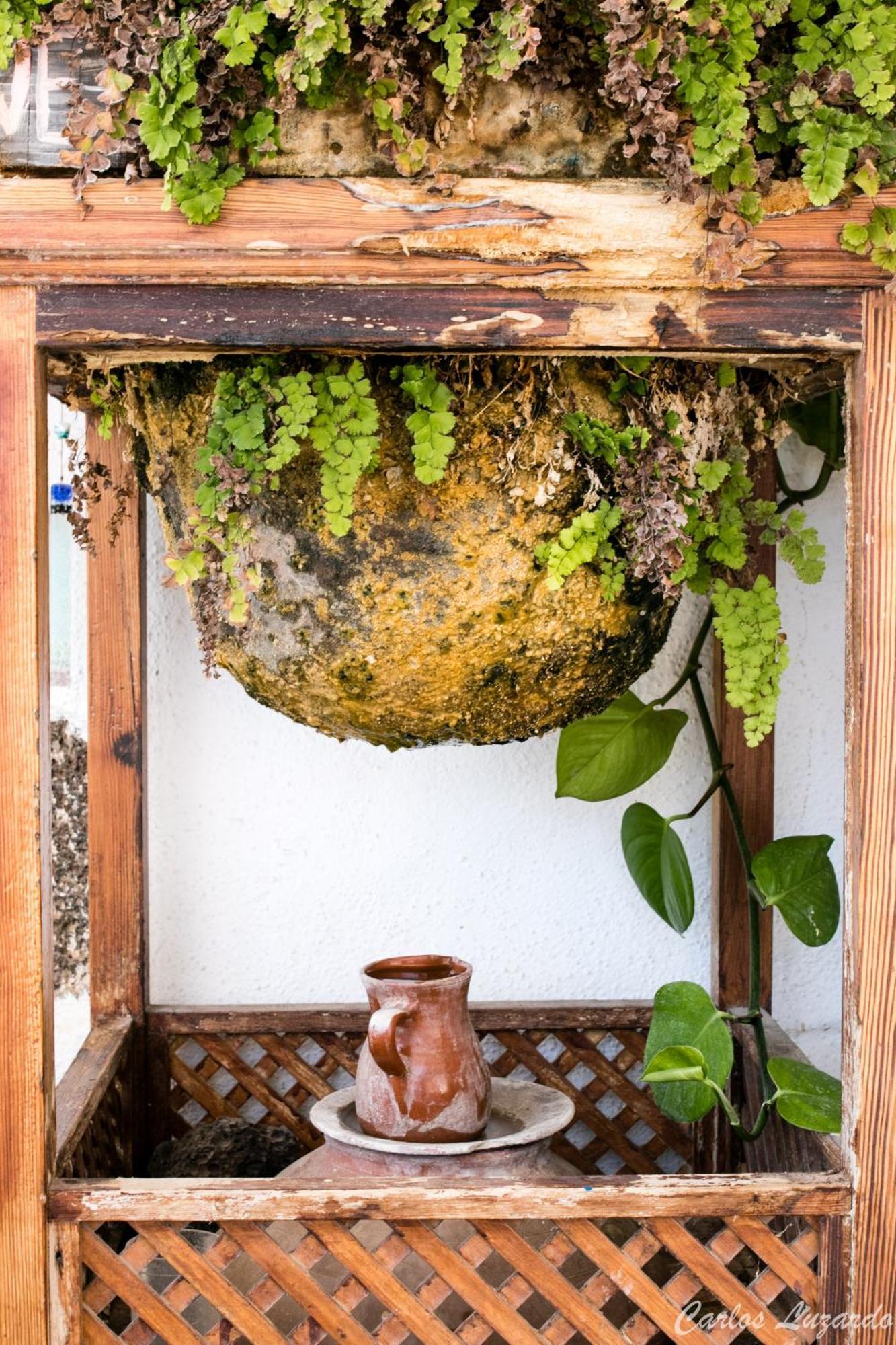 Apartamento El Sueño de Mamá Asociación y Grupos Tegueste Exterior foto