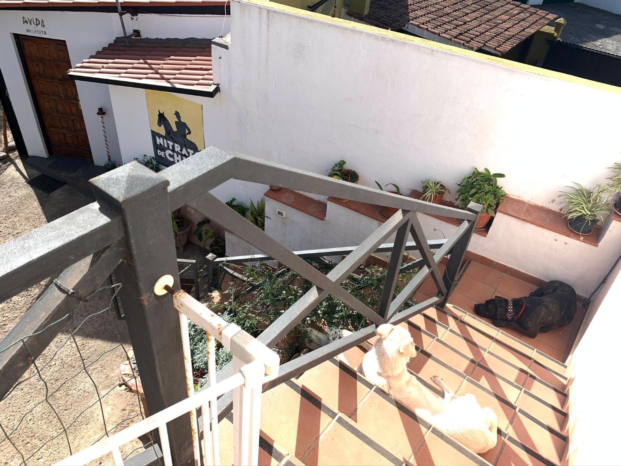 Apartamento El Sueño de Mamá Asociación y Grupos Tegueste Exterior foto
