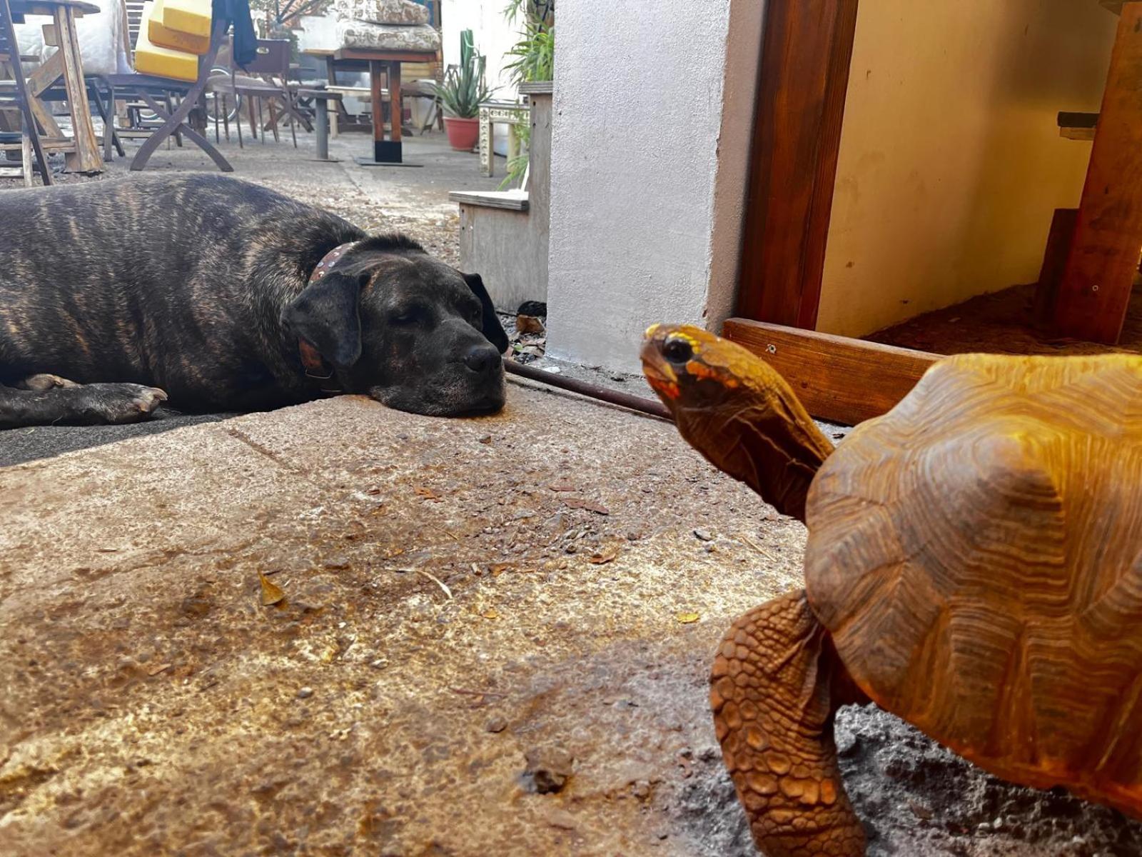 Apartamento El Sueño de Mamá Asociación y Grupos Tegueste Exterior foto