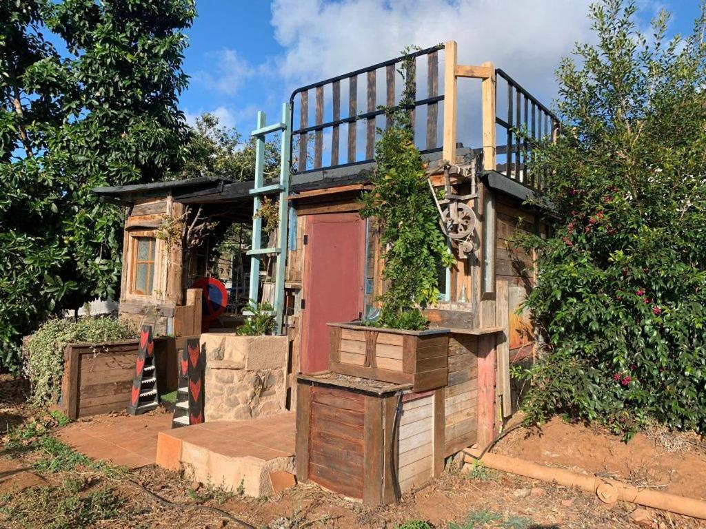 Apartamento El Sueño de Mamá Asociación y Grupos Tegueste Exterior foto